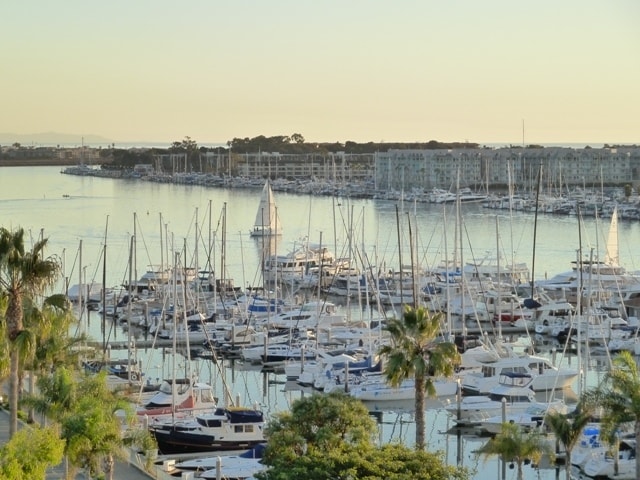 Building Photo - 13700 Marina Pointe Dr