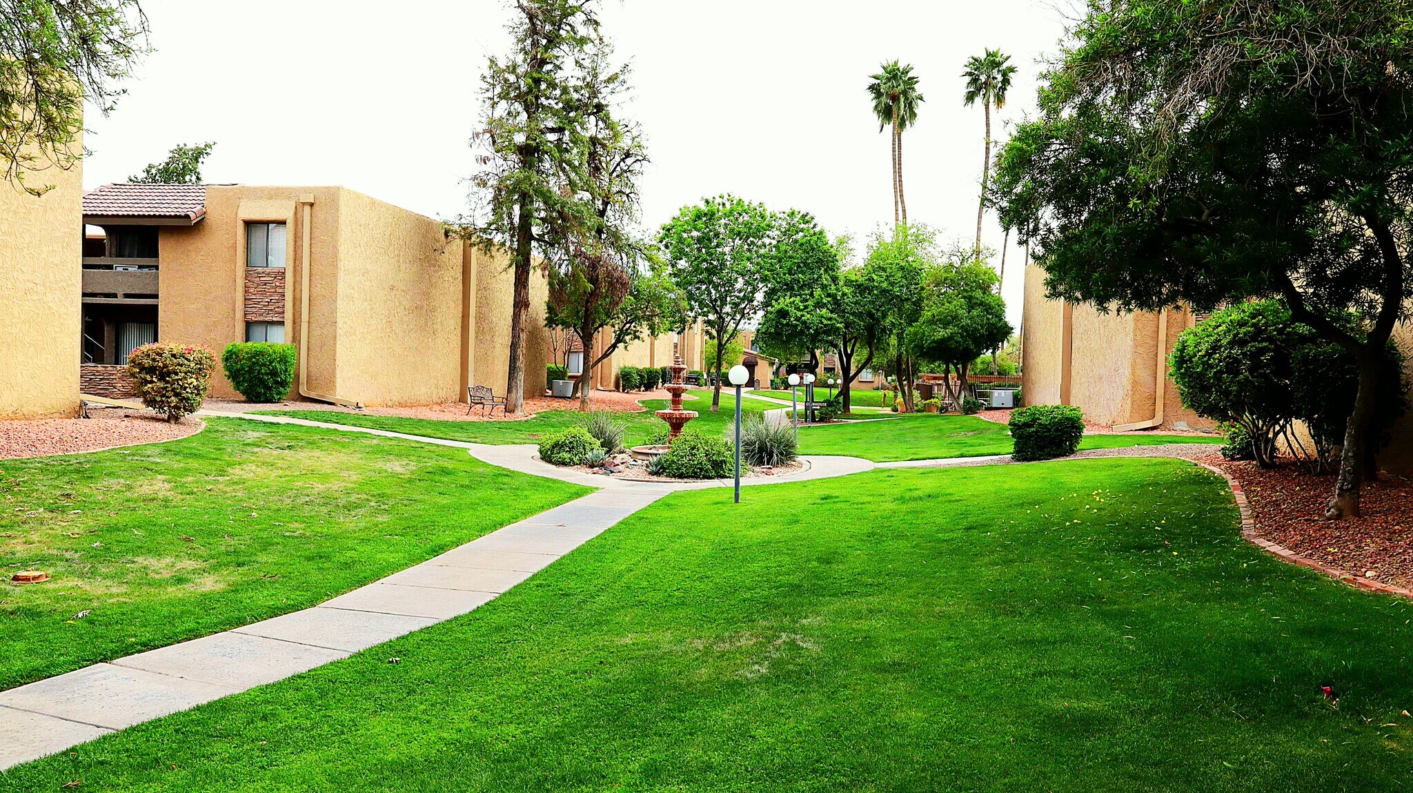 Building Photo - 3825 E Camelback Rd