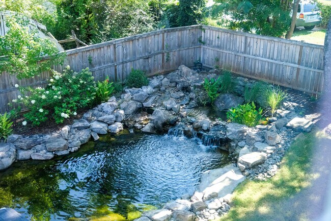 Building Photo - Like-new 3 bedroom, 2.5 bath house with an organic pond!