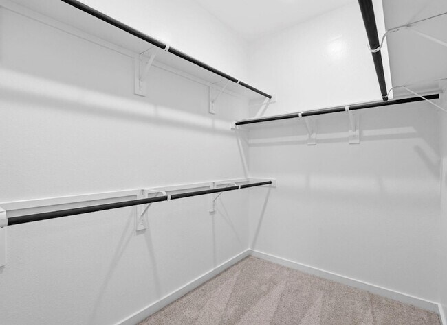 Building Photo - 10919 Spring Wind Dr