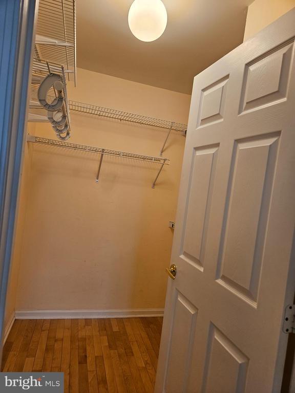 Building Photo - 409 Talon Ct