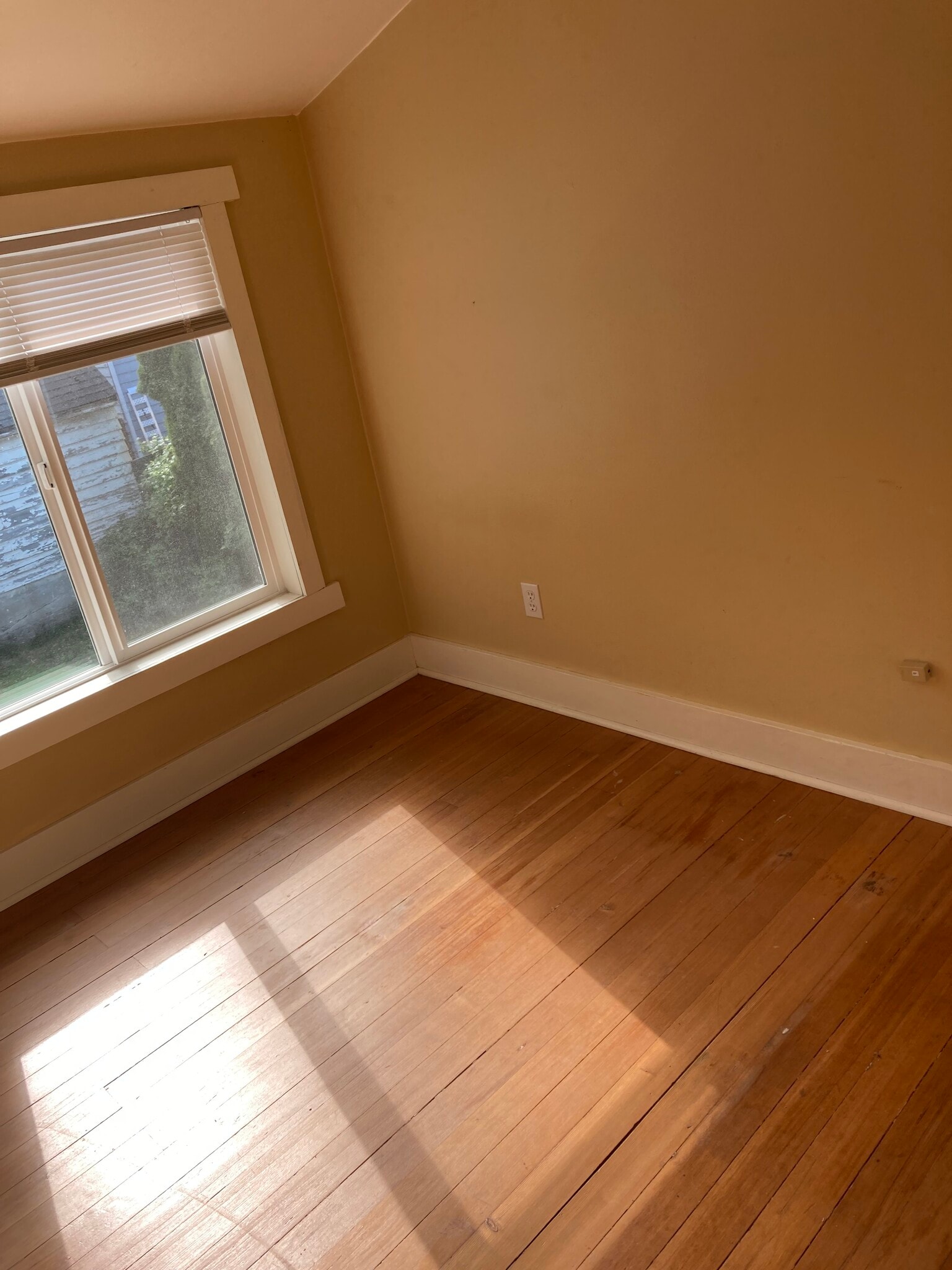 Building Photo - 1909 Cedar St