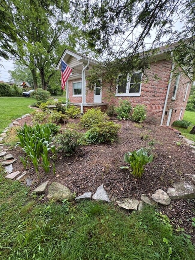 Building Photo - Beautiful 3 Bed / 1 Bath, Large rolling yard