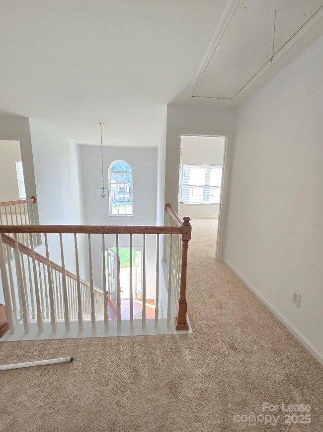 Building Photo - 4021 Fifendrum Ln