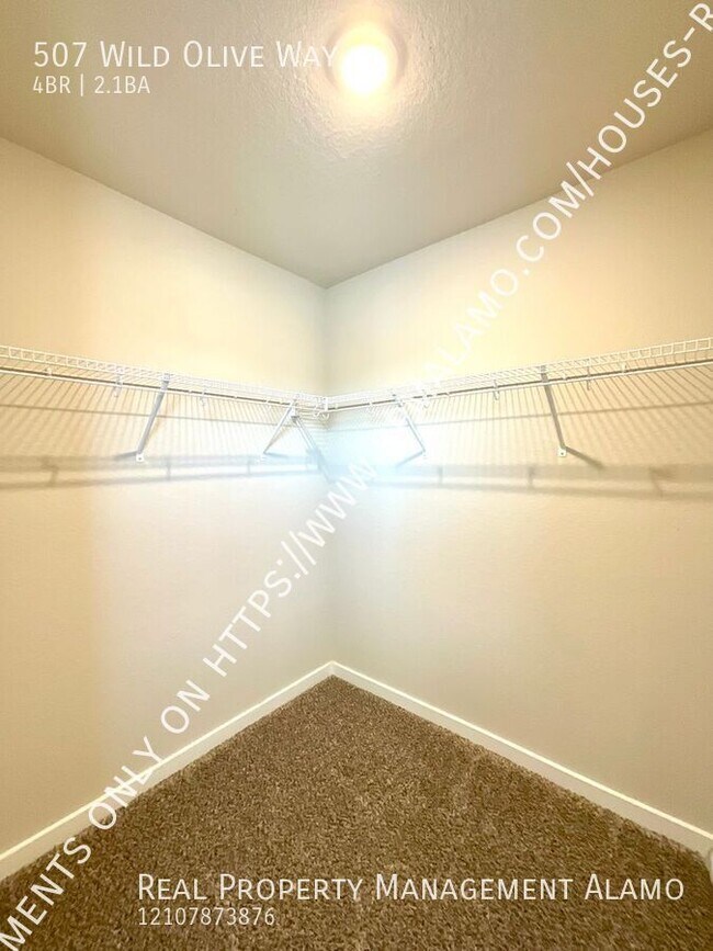 Building Photo - 507 Wild Olive Wy