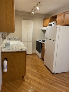 Kitchen Area - 1350 Golden Cir