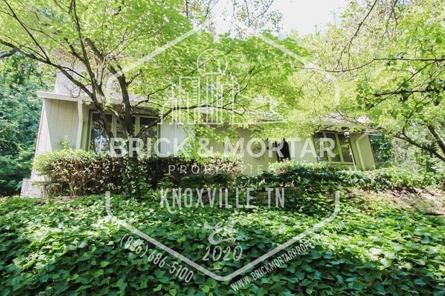 Primary Photo - 6713 Langston Dr