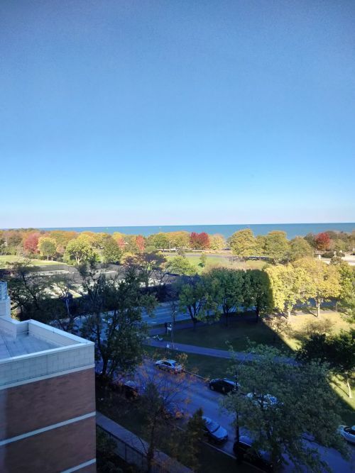 Building Photo - 5100 N Marine Dr