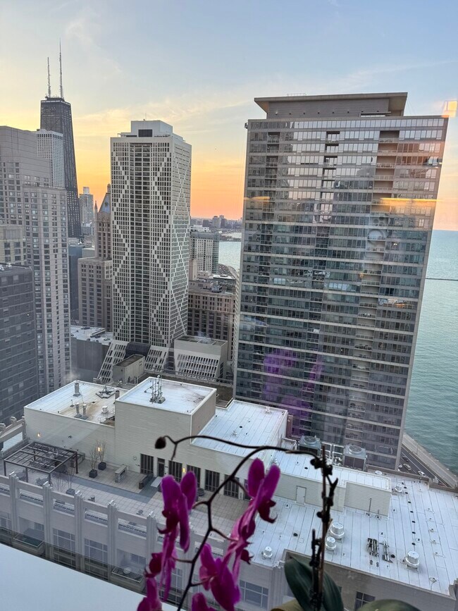 Building Photo - 500 N Lake Shore Dr