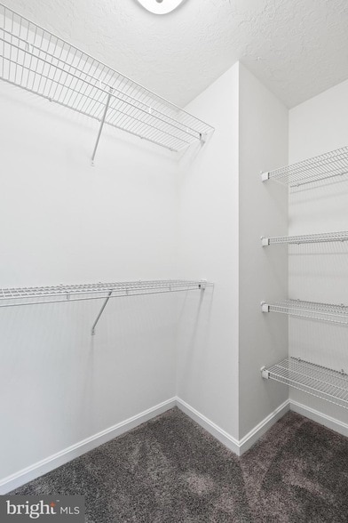 Building Photo - 2604 Hickorywood Ln