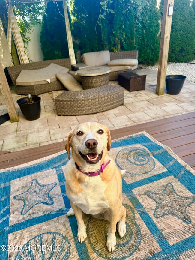 Building Photo - 331 Richmond Ave