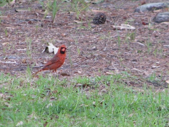 Building Photo - 705 Alabama St