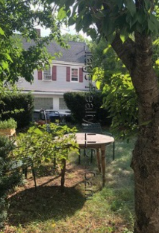 Building Photo - 84 Thorndike St