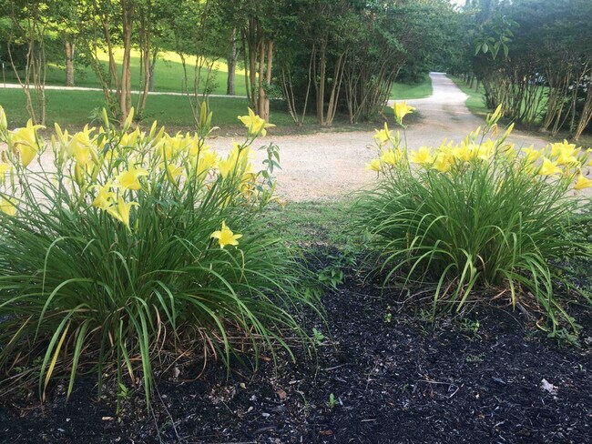 Building Photo - 175 Laveta Ln