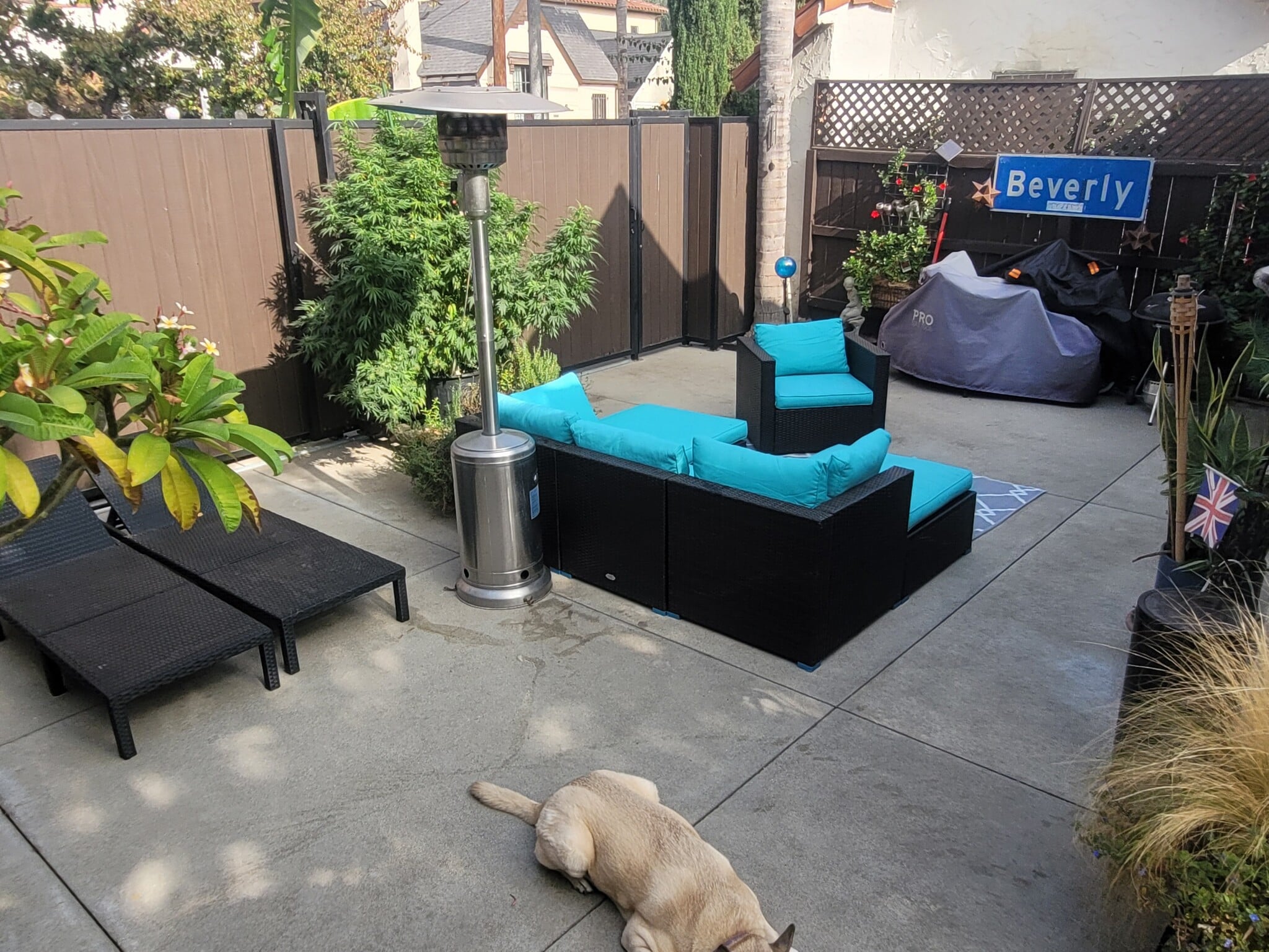 View of Backyard - 750 N Genesee Ave