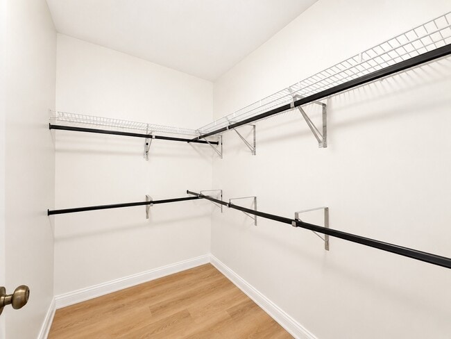 Building Photo - 2912 White Thorn Cir