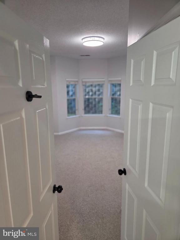 Building Photo - 1303 Sandwort Ct