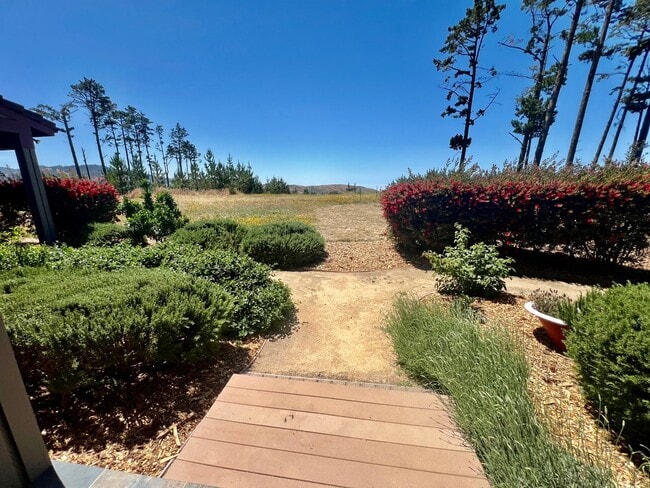 Building Photo - Carmel Highlands Mountain Top Stunning Vie...