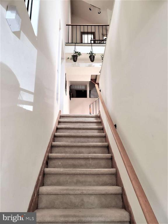 Building Photo - 8 Rex Ave