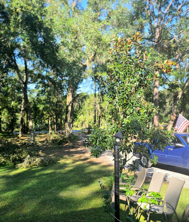 View of the front yard - 1769 N Crooked Branch Dr