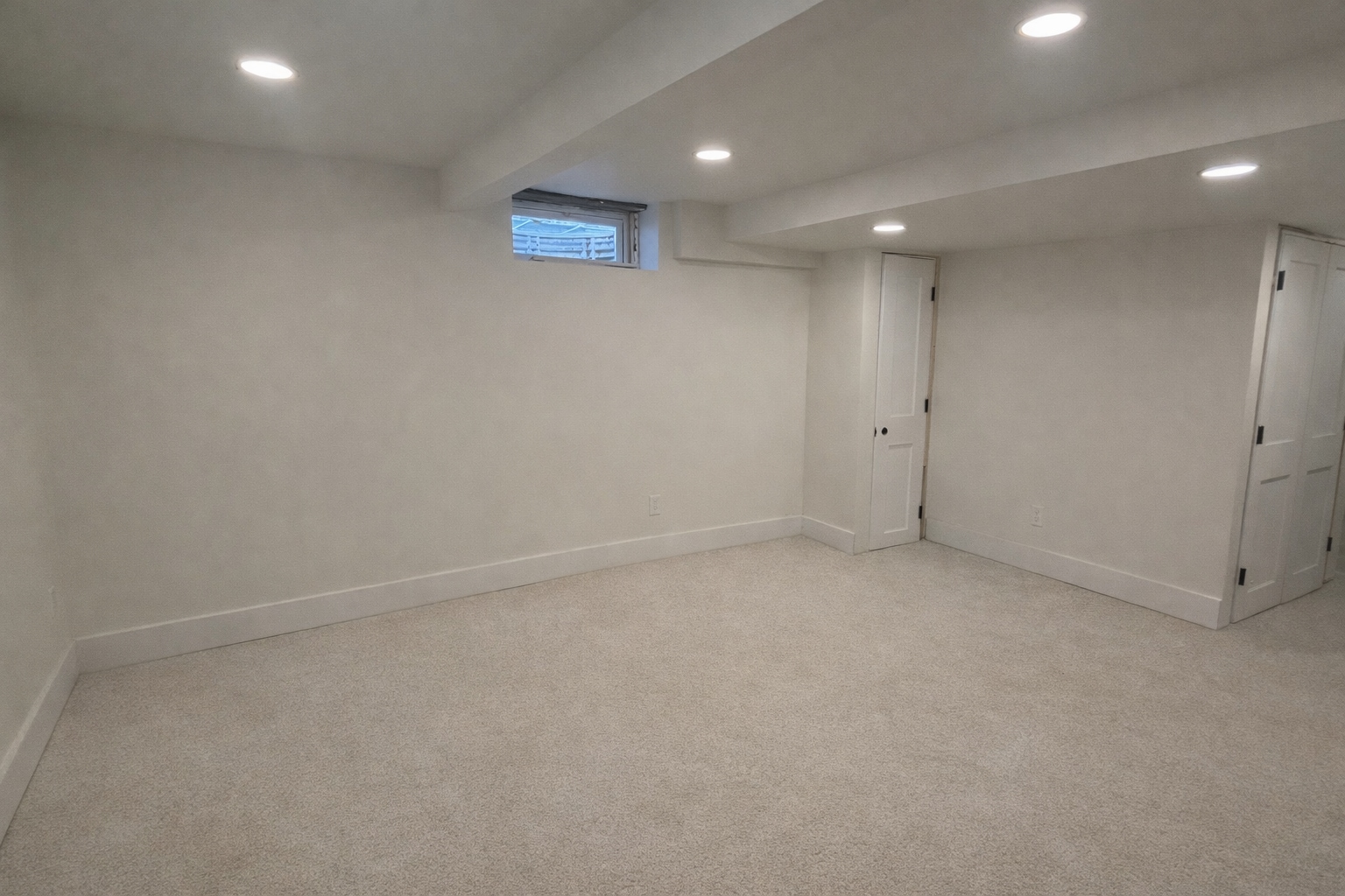 Basement - 1028 E Meadow Pl