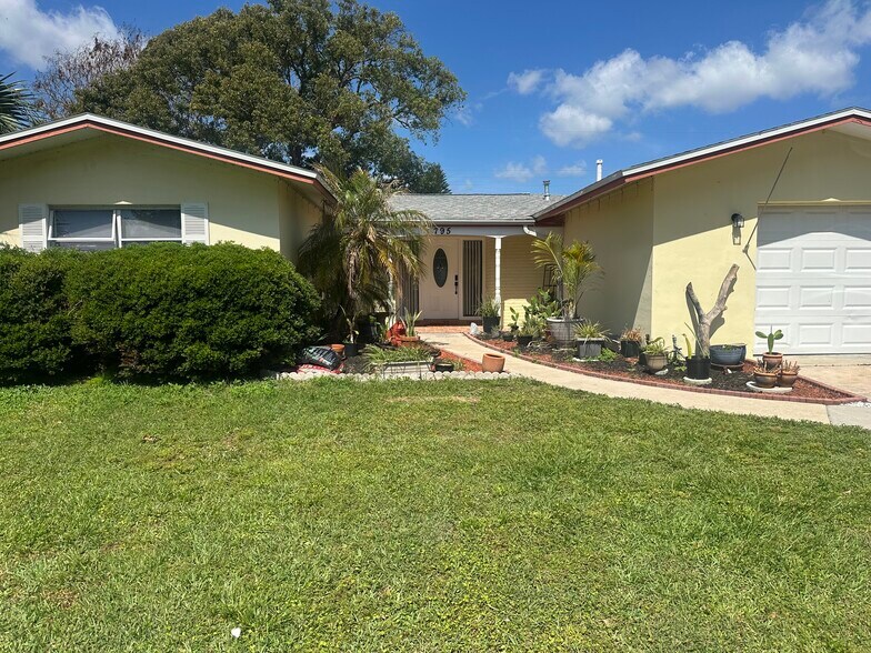 Front lawn - 795 2nd St