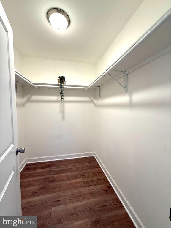 Building Photo - 4959 Linsey Ct