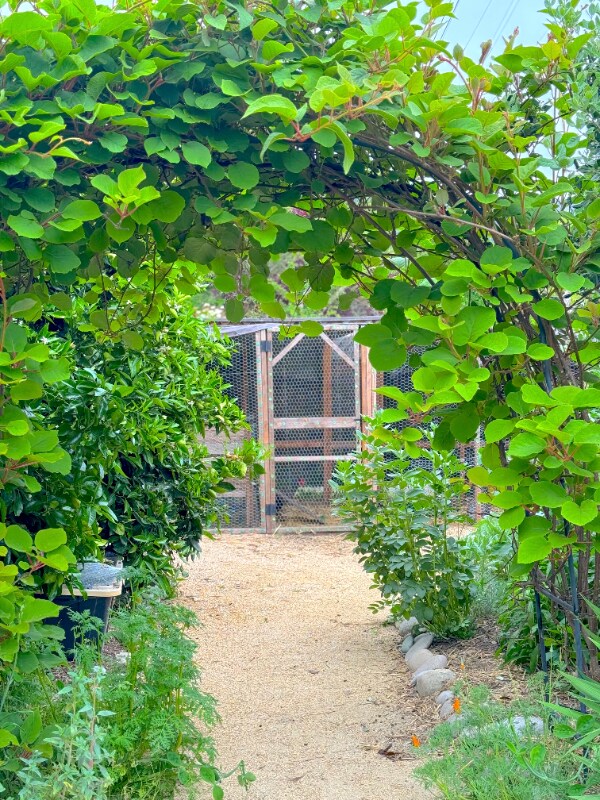 Building Photo - 1706 Adele St