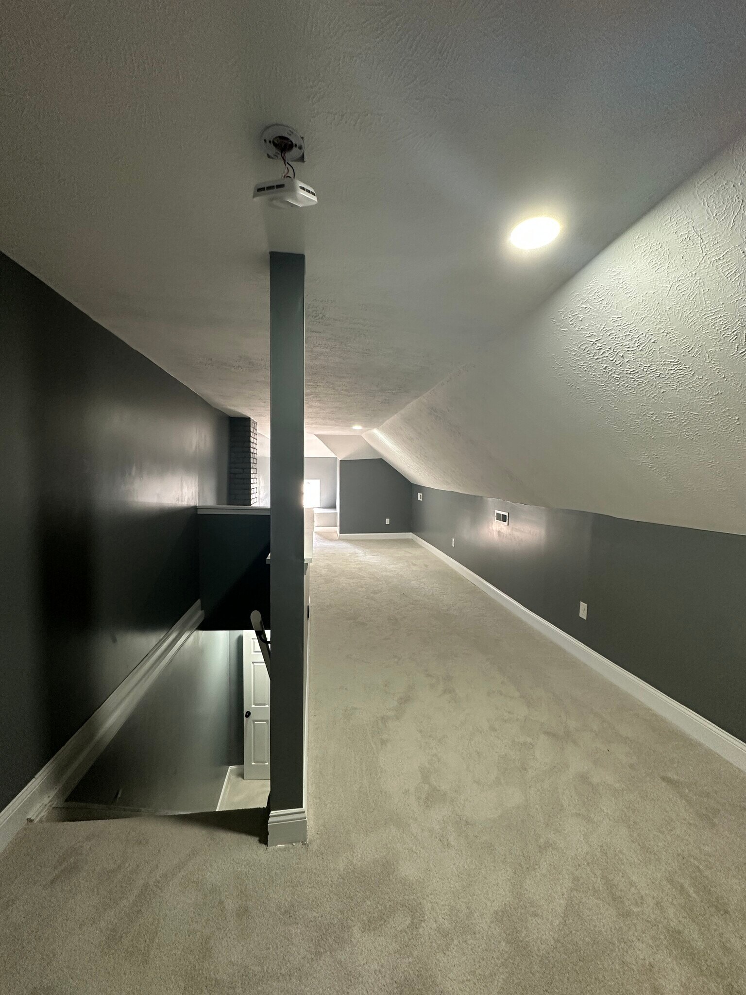 Building Photo - 3149 Ruckle St