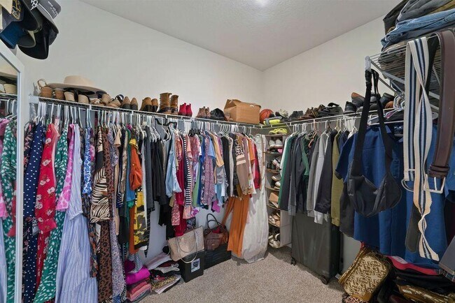 Building Photo - 51 Woodsorrel St