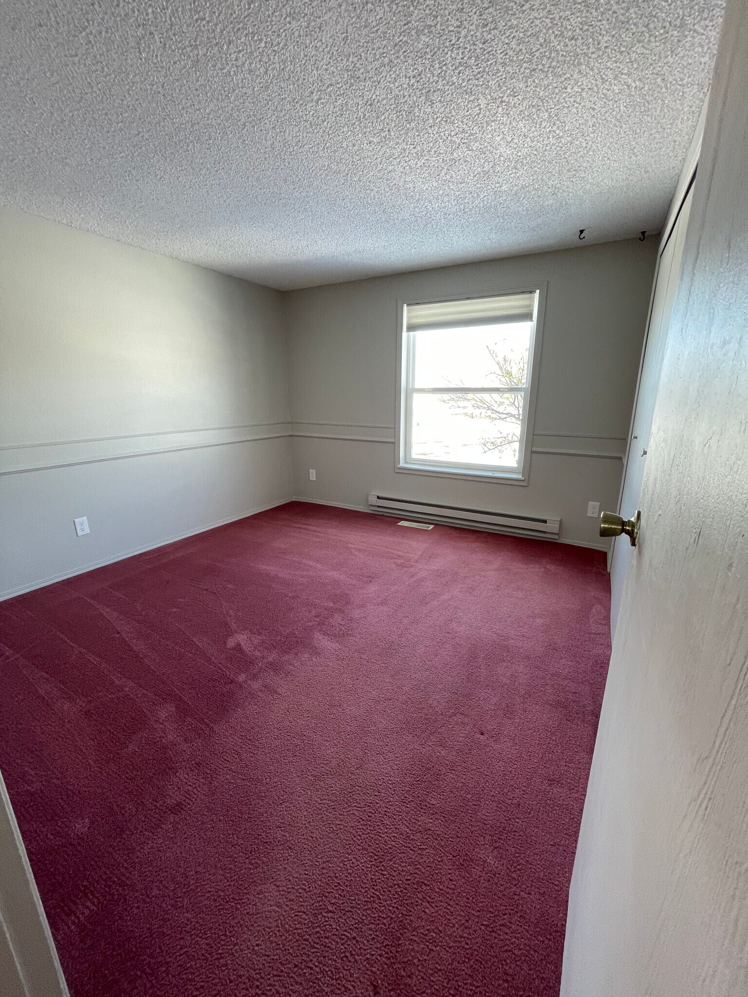 Building Photo - 1019 Darter Rd