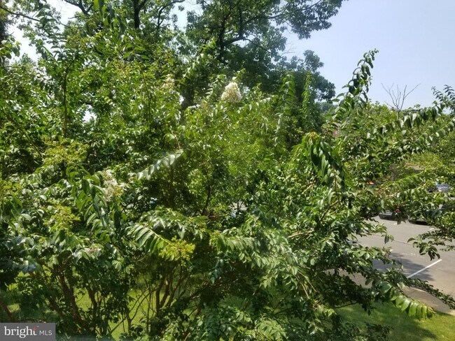 Building Photo - 1111 Arlington Blvd