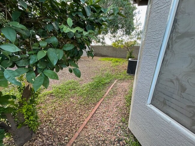 Building Photo - 4 bedroom 2 bath in Goodyear