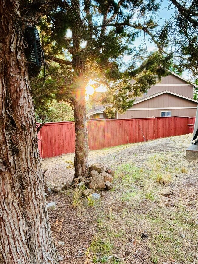 Building Photo - 61208 Brittle Bush St