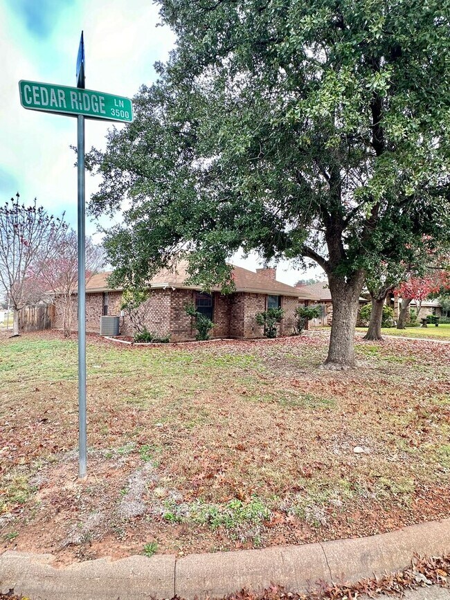 Building Photo - 3546 Cedar Ridge Ln