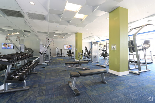 Fitness Center - The Plaza