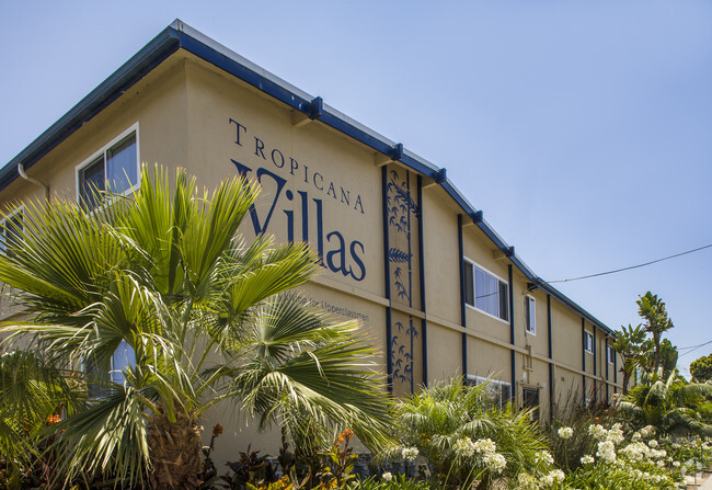 Building Photo - Tropicana Student Housing