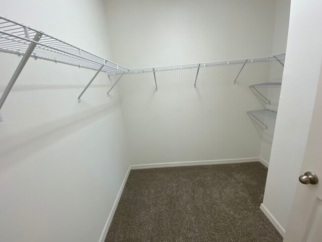 Building Photo - 2217 Sedge Grass Wy