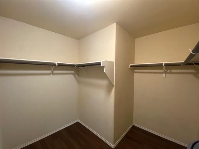 Building Photo - 2501 Saddlehorn Dr