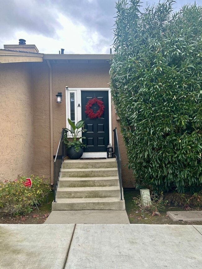 Building Photo - Willow Glen Townhome with Gorgeous Patio
