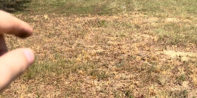 Primary Photo - Shady Grove Mobile Home Park