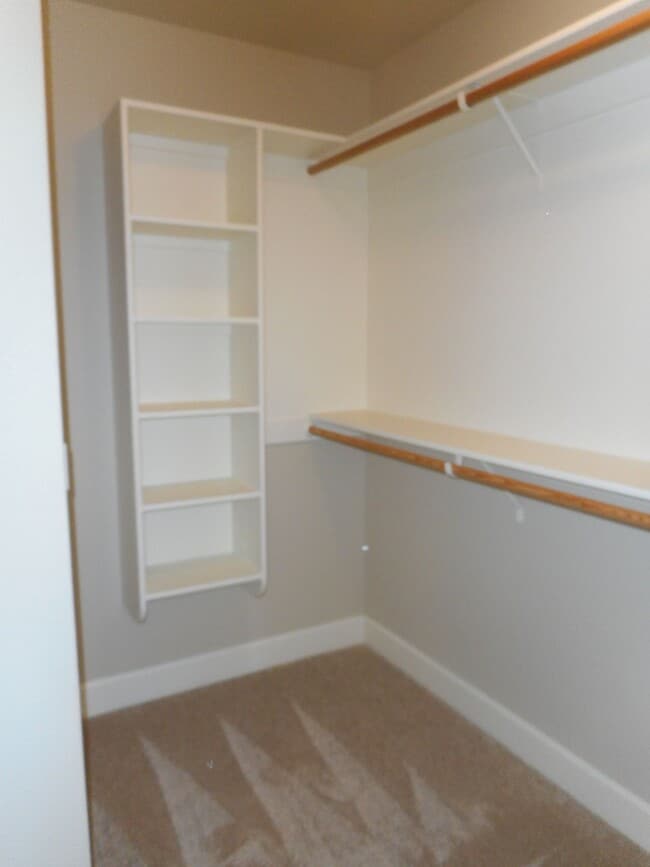 Building Photo - 1555 Dolores Wy