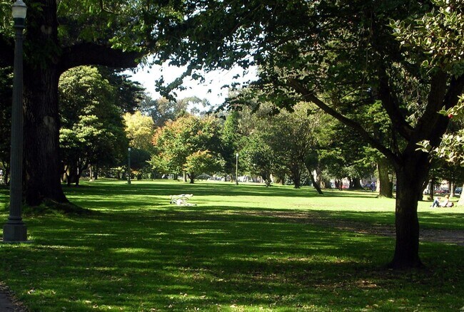 walk to Panhandle park only 5 min walk - 848 Central Ave