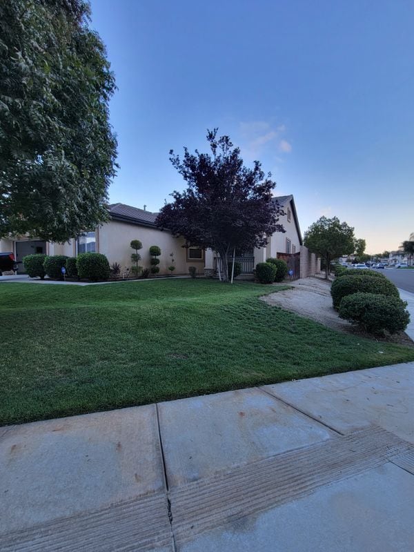 Building Photo - 2274 Purple Finch Ct