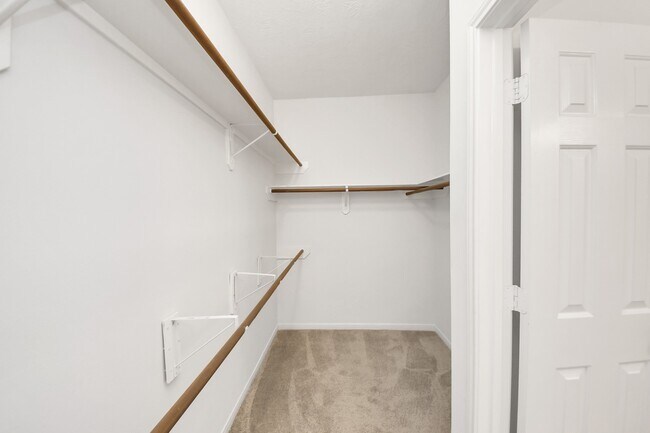 Building Photo - 3519 Brinton Trails Ln