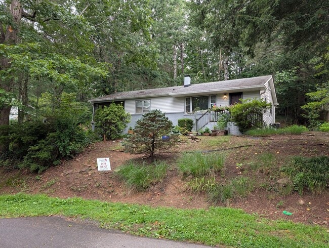 Building Photo - Black Mountain Rental!