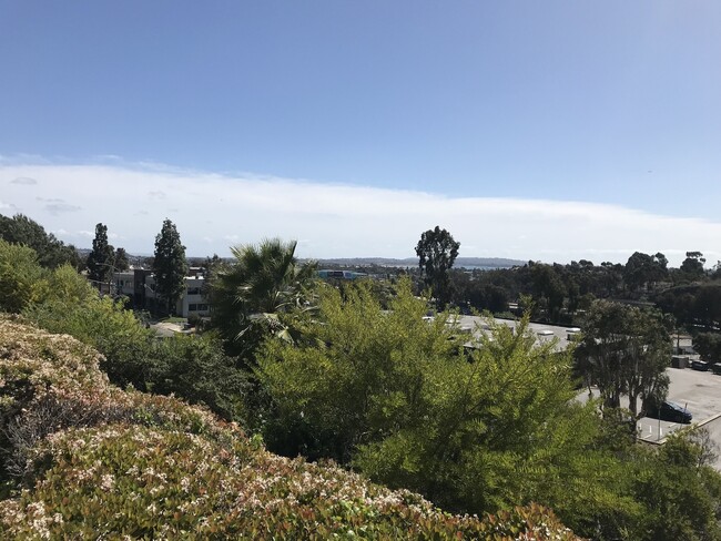 Building Photo - Upgraded Studio in Heart of San Diego - MOVE IN SPECIAL!