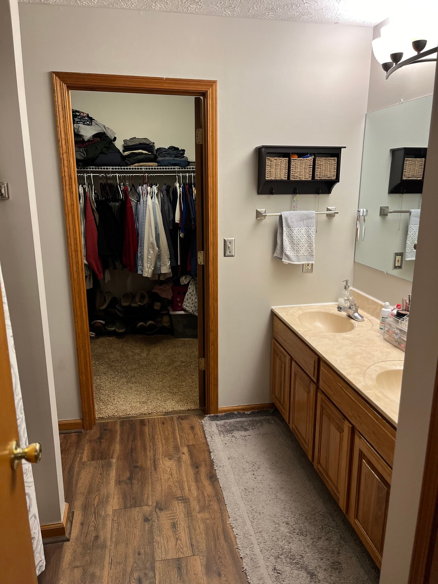Primary Bathroom and Walk-In Closet - 3052 N Andy Way