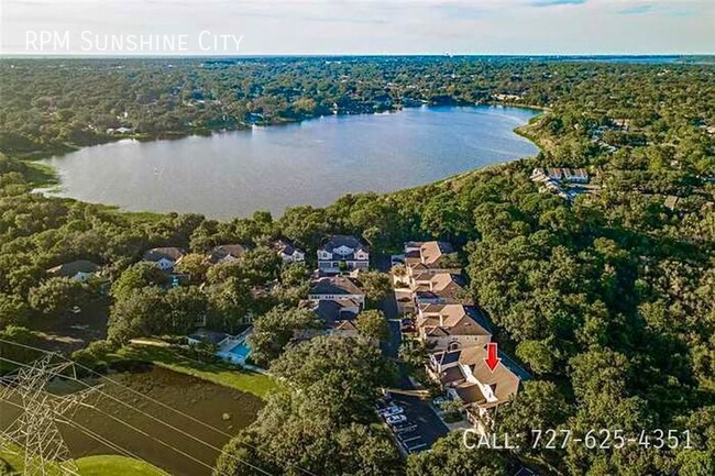 Building Photo - Charming Townhome in Palm Harbor