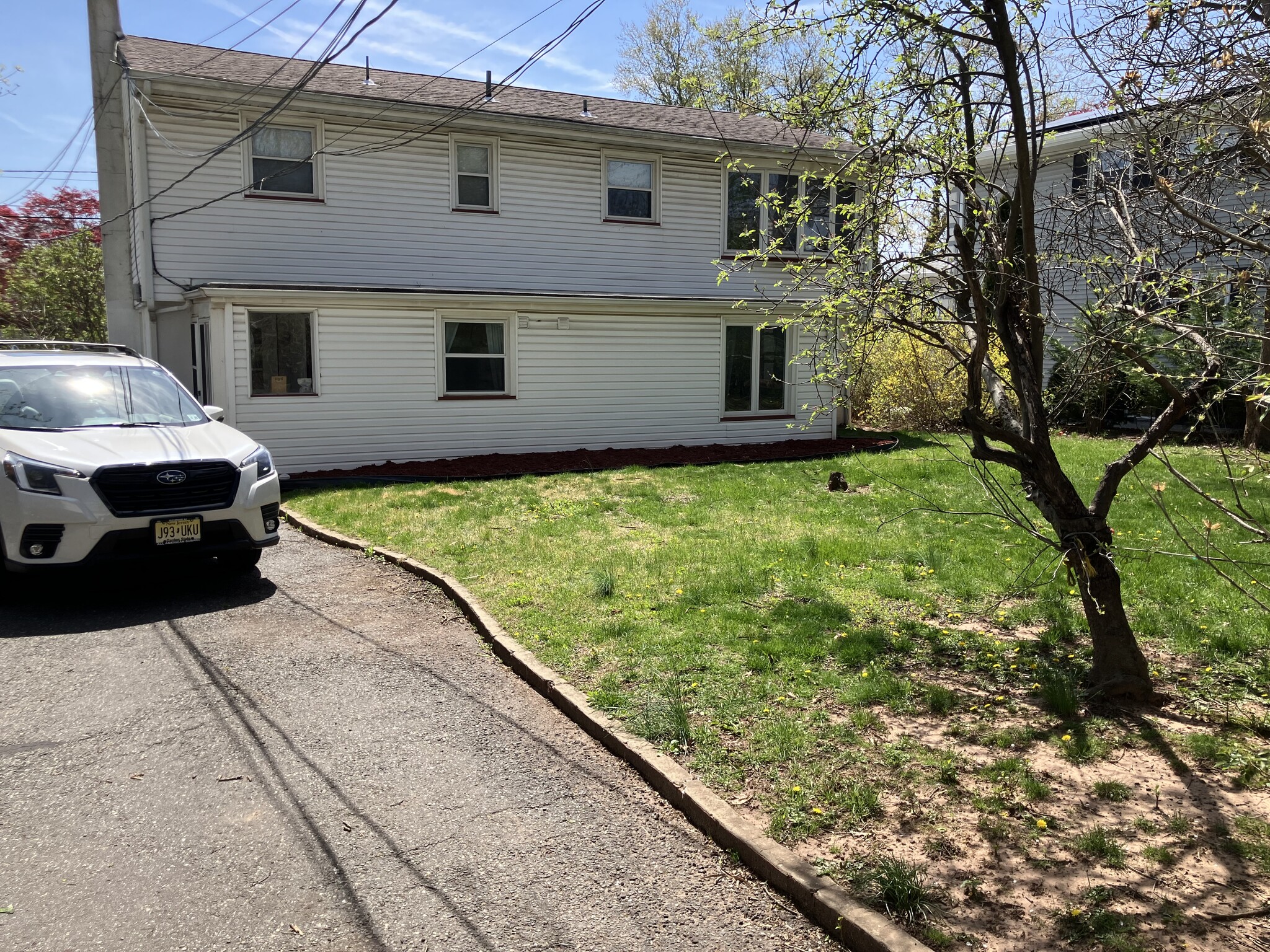 BACK YARD - 141 Dunbar Ave